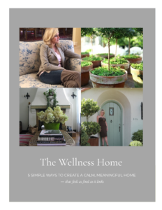 The Wellness Home, free download. 5 Steps to Creating More Health, Wellness and Joy in Your Home.