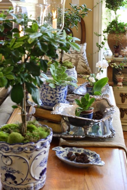 A busy table scape with blue chinese pots and lots of plants make a welcoming room