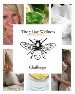 The 7 Day Wellness Challenge with Shiree Segerstrom Design and Wellness Logo