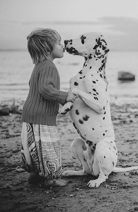 Dog and child at the beach, kissing. Black and white.